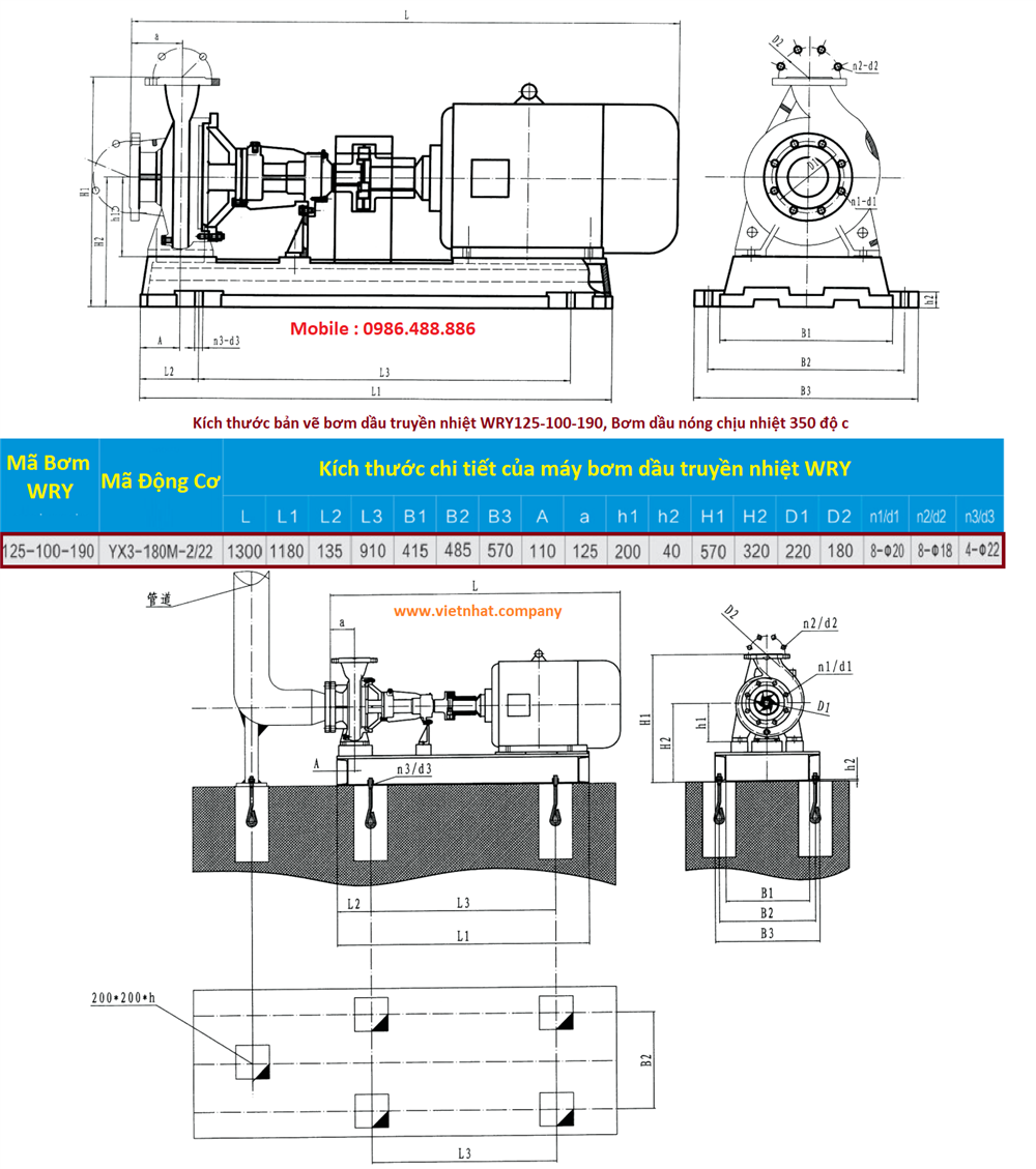 Bản vẽ kích thước bơm dầu truyền nhiệt wry125-100-190