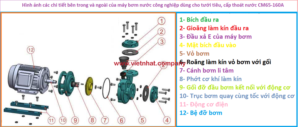 Các chi tiết trong và ngoài của máy bơm CM65-160A