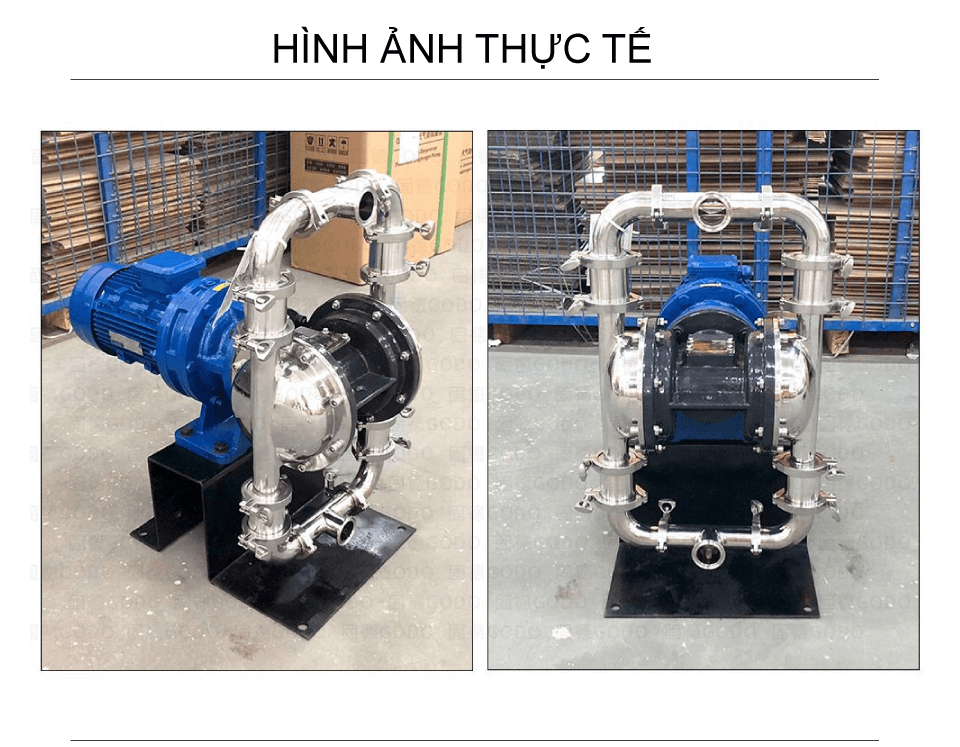 Hình ảnh thực tế Bơm màng điện thực phẩm GODO DBW3S-50