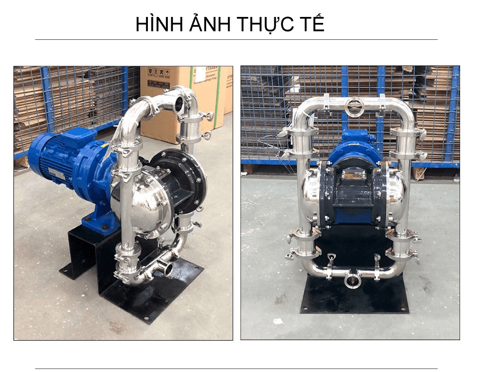 Hình ảnh thực tế bơm màng điện thực phẩm GODO DBW3S-40