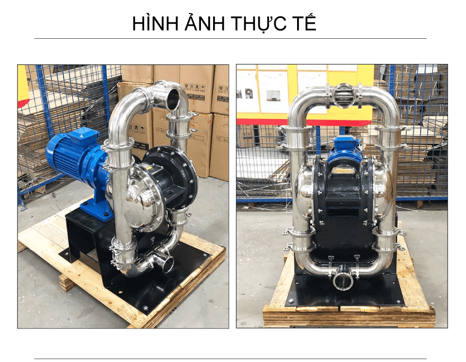 Hình ảnh thực tế Bơm màng điện thực phẩm GODO DBW3S-80