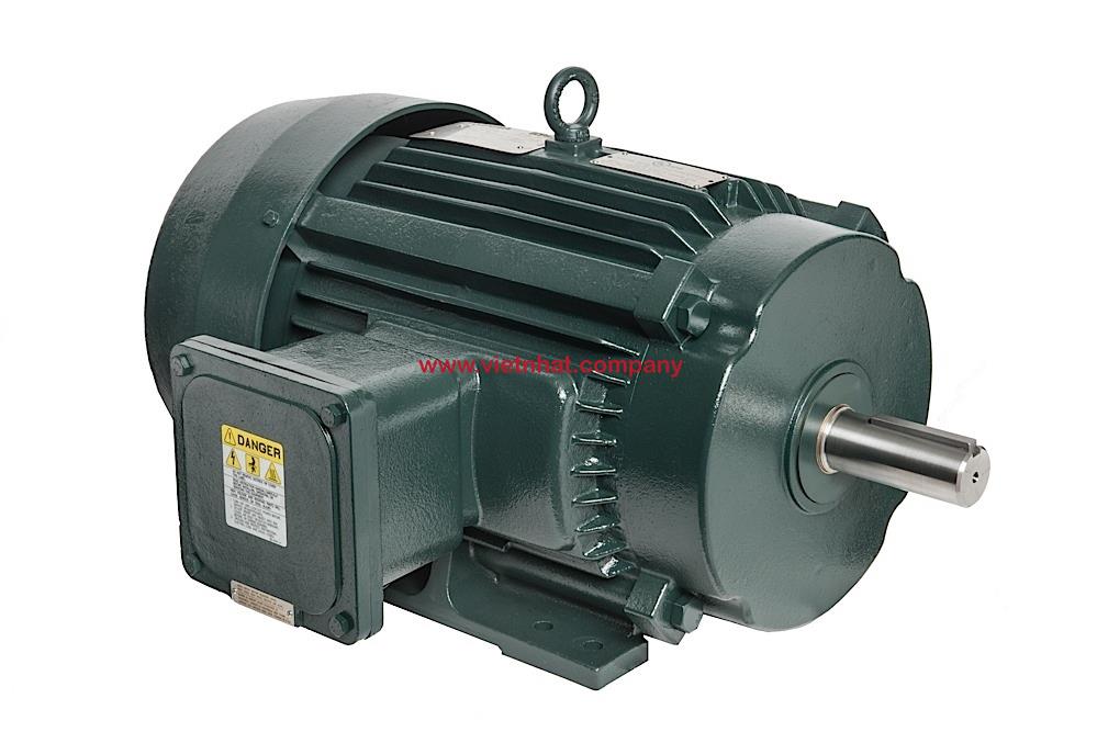 động cơ điện 7.5hp lắp với đầu bơm ry6550160