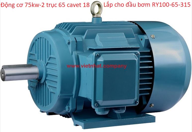 động cơ điện 75kw-2 trục 65 cavet 18mm lắp cho đầu bơm RY100-65-315