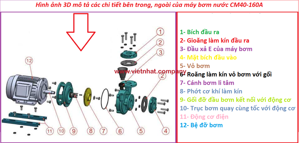 hình ảnh 3D mô tả các chi tiết của máy bơm nước CM40-160A