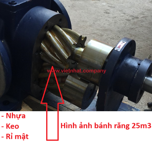 hình ảnh bánh răng 25m3 dùng cho keo, rỉ mật, nhựa đường ycb25