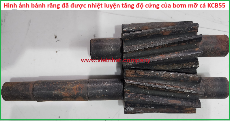 hình ảnh bánh răng được nhiệt luyện để tăng độ cứng của bề mặt kcb55