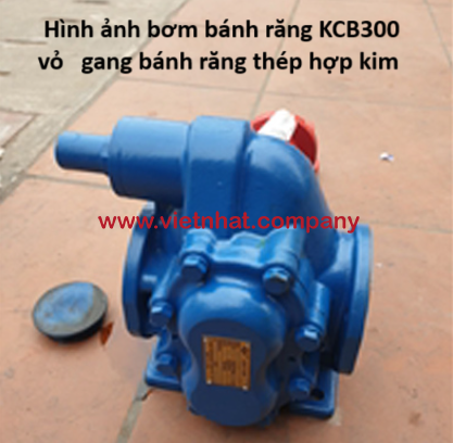 hình ảnh bơm bánh răng kcb300 vỏ gang