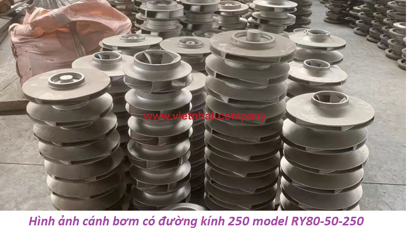 hình ảnh cán bơm dn250 nhiều nan model RY80-50-250