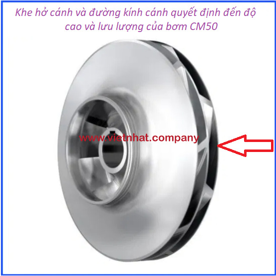 hình ảnh cánh bơm đường kính 160b của model CM50-160b