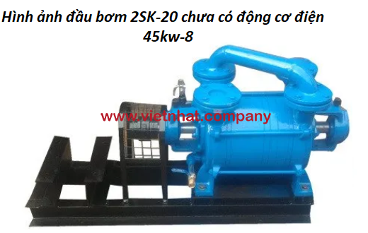 hình ảnh đầu bơm 2SK-20 