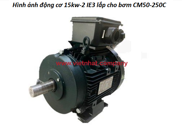 hình ảnh động cơ điện 15kw-2 được lắp cho bơm cm50-250c