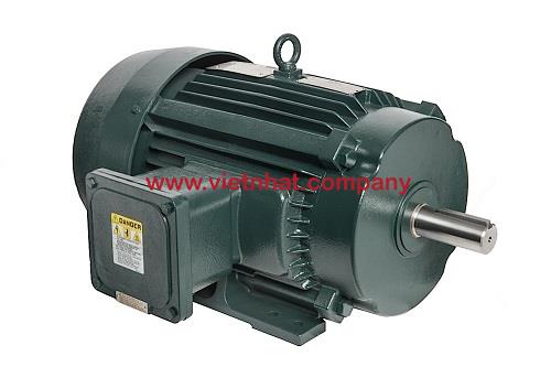 hinh-anh-dong-co-dien-45kw-va-37kw-lap-cho-bom-ry125-100-200