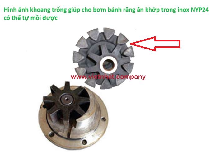 hình ảnh khoang trống bên trong bánh răng NYP24 inox giúp cho việc bơm có thể tự hút dung dịch có độ nhớt vào buồng