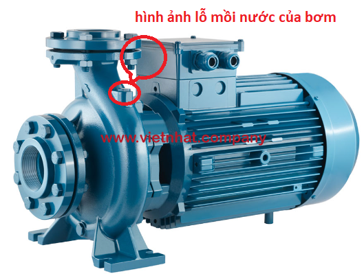 hình ảnh lỗ mồi nước của bơm cm65-160b