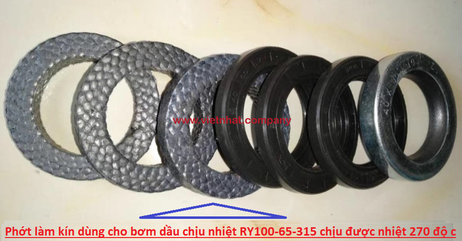 hình ảnh loại phớt đặc biệt dùng cho bơm dầu nóng RY100-65-315