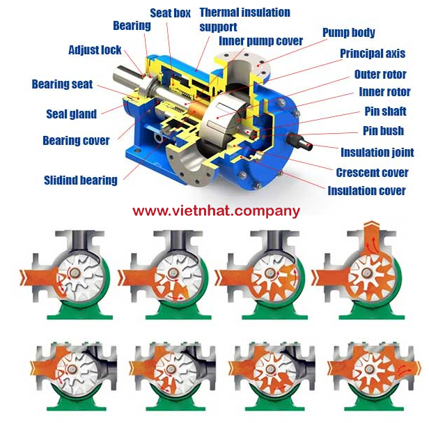 hình ảnh mặt cắt của bơm bánh răng ăn khớp trong BRM16-6-7.5