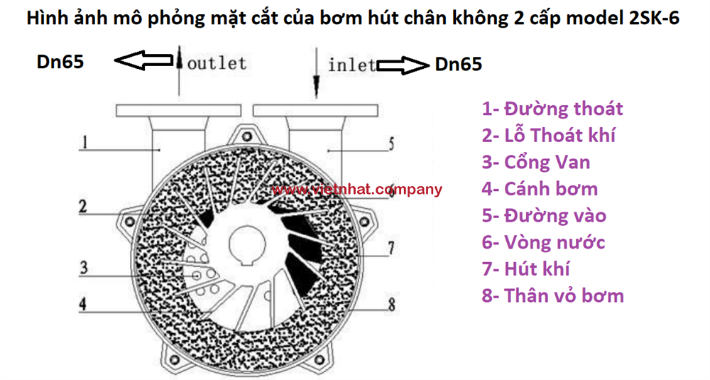 hình ảnh mặt cắt của bơm hút chân không 2sk-6