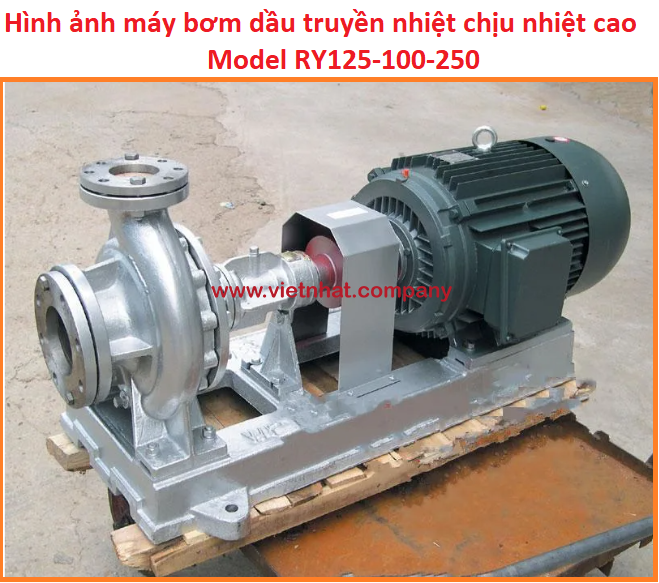 hình ảnh máy bơm dầu truyền nhiệt ry125-100-250