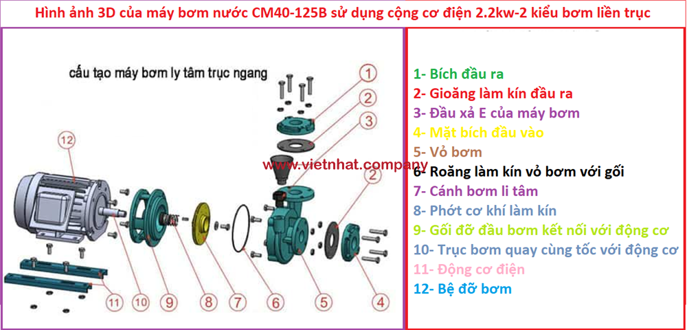 hình ảnh mô phỏng cấu tạo của máy bơm nước cm40-125b đùng dộng cơ 2.2kw