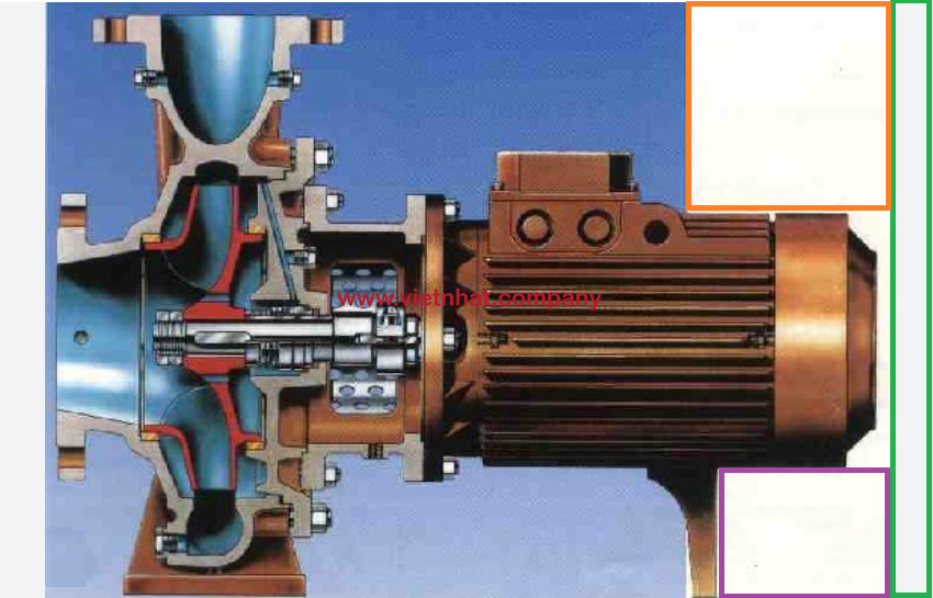 hình ảnh mô tả cánh bơm được gắn liền với trục động cơ model CM65-200C