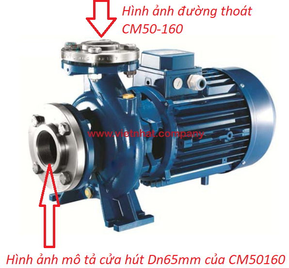 hình ảnh mô tả cửa hút và cửa xả của bơm cm50-160b