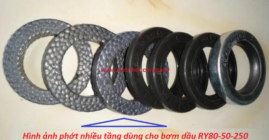 hình ảnh phớt bơm chịu nhiệt lắp cho bơm ry80-50-250