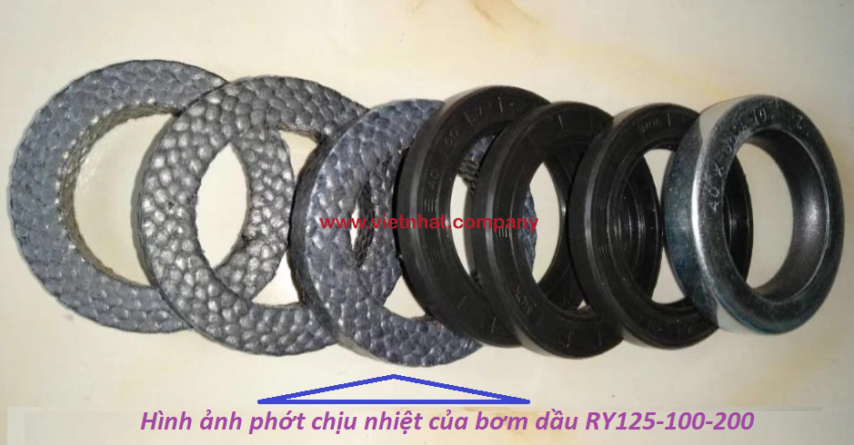 hình ảnh phớt chịu nhiệt 270 độ c của bơm dầu RY125-100-200