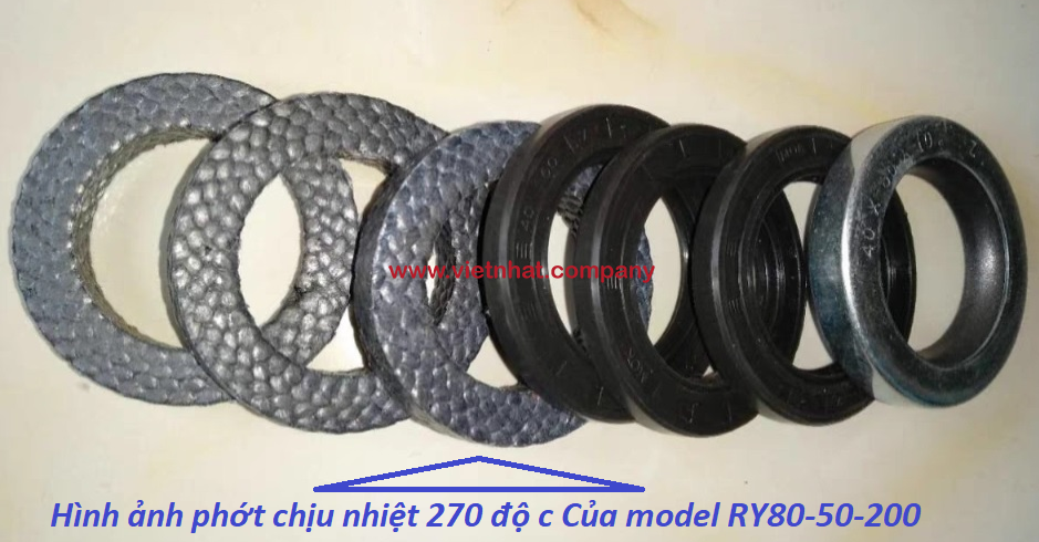 hình ảnh phớt làm kín bơm dầu truyền nhiệt chịu nhiệt cao model ry80-50-200