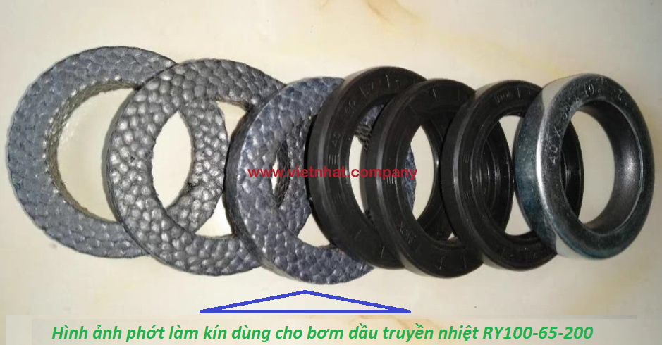 hình ảnh phớt làm kín bơm dầu truyền nhiệt ry100-65-200