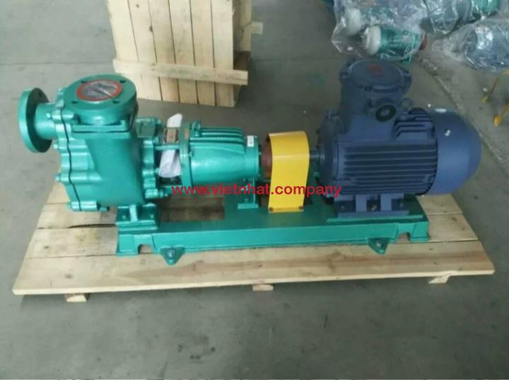 hình ảnh tham khảo bơm tự mồi 100FZB lắp động cơ 30kw