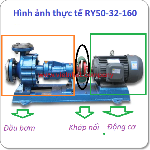 hình ảnh thực tế bơm dầu ry50-32-160