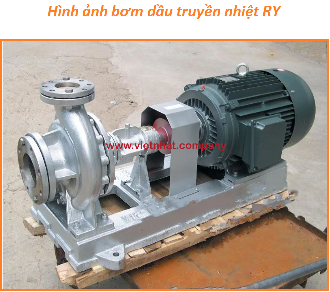 hình ảnh tổng thể của máy bơm dầu truyền nhiệt RY80-50-315