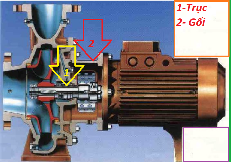 hình ảnh trục bơm và gối đỡ CM65-125b