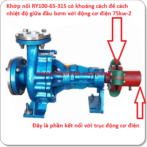 khớp nối bơm dầu truyền nhiệt ry100-65-315