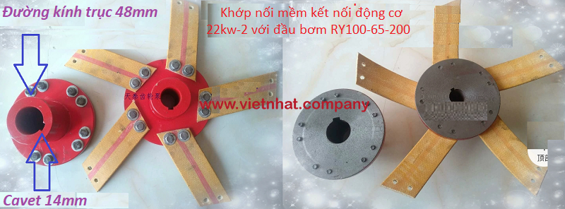 khớp nối đầu bơm 22kw trục 48mm model RY100-65-200