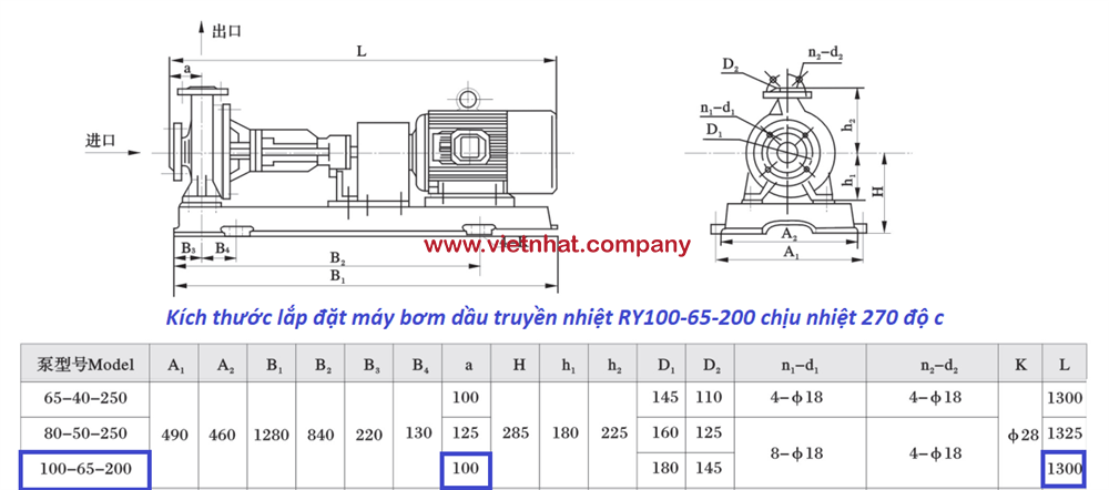 kích thước lắp đặt bơm li tâm RY100-65-200,200A,200B,200C dùng cho dầu truyền nhiệt 270 độ c