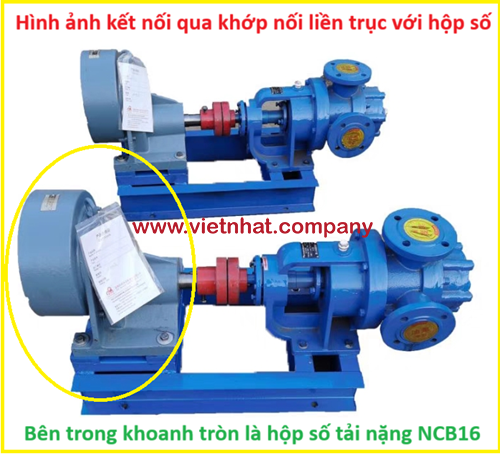 kiểu kết nối bơm bánh răng ncb16 kết nối liền trục