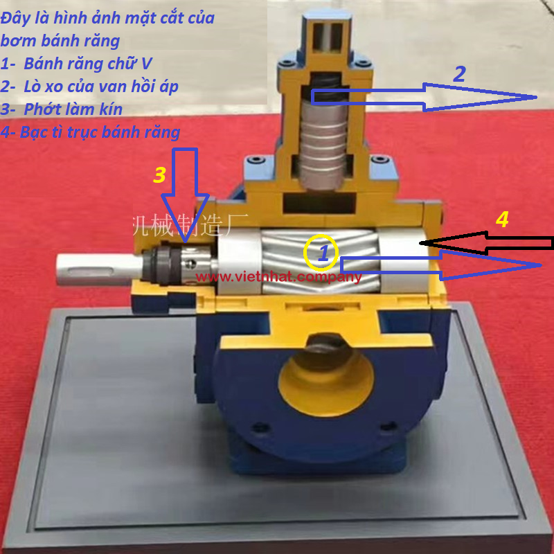 mặt cắt của bơm bánh răng ycb10-0.6p