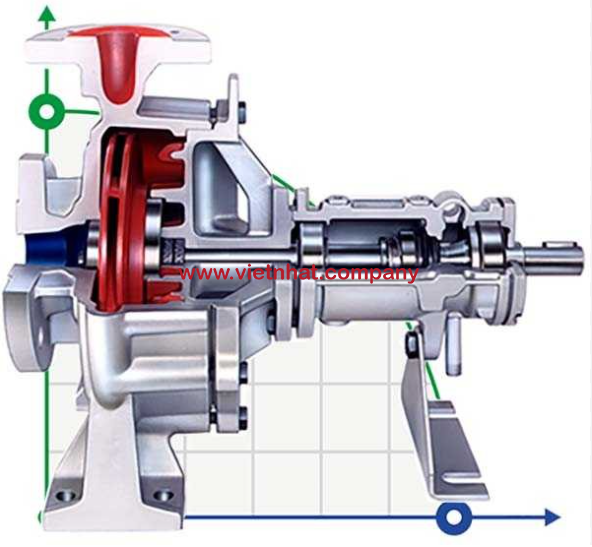 mặt cắt của bơm dầu truyền nhiệt RY80-50-250