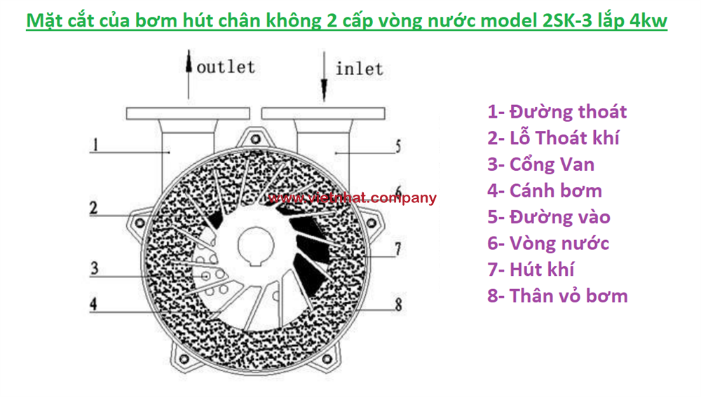 mắt cắt của bơm hút chân không 2 cấp vòng nước 2sk-3