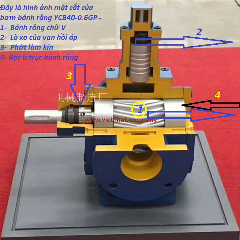 mặt cắt của bơm ycb40-0.6gp