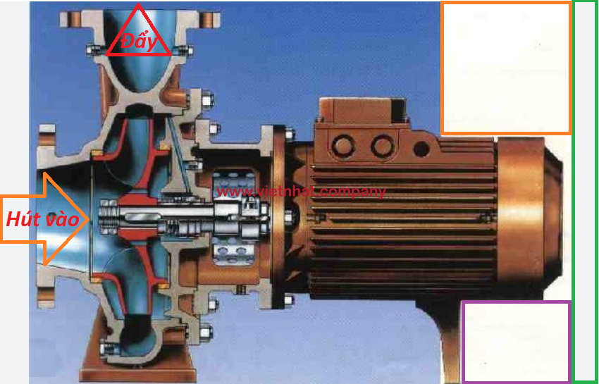 mặt cắt của máy bơm nước CM50-250C