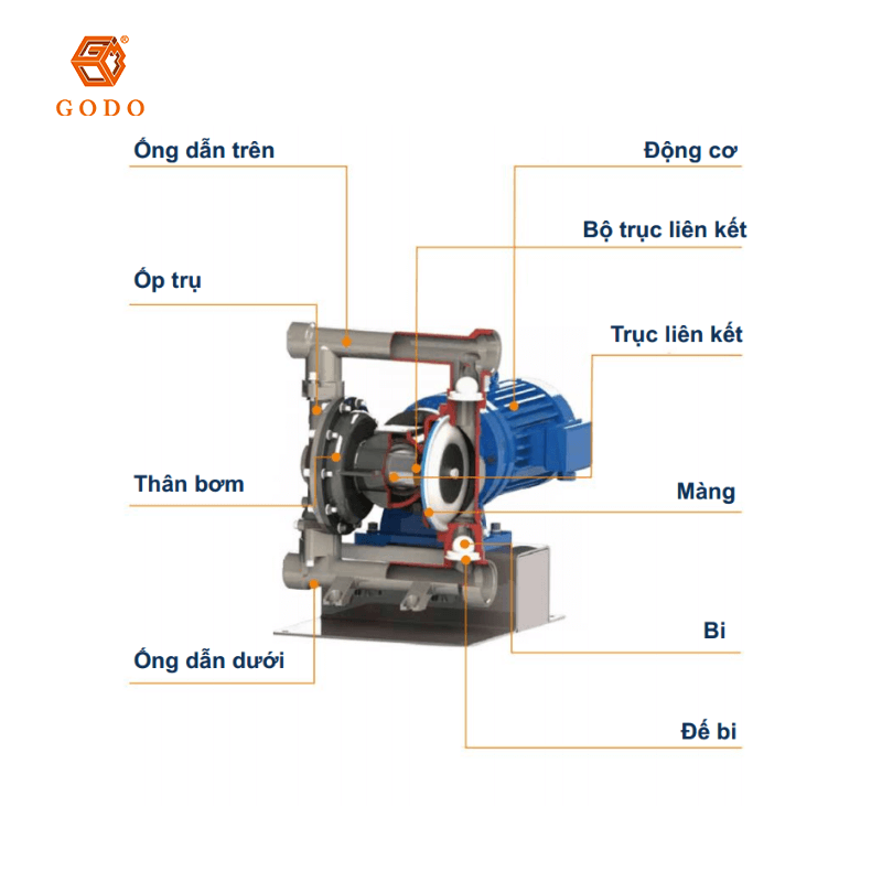 Cấu-tạo-của-bơm-màng-điện