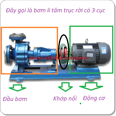 phân biệt ra kiểu bơm li tâm trục rời và liền trục như thế nào ở bơm RY50-32-160