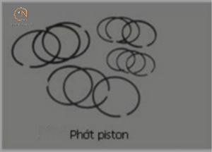 Bán PHỚT PISTON