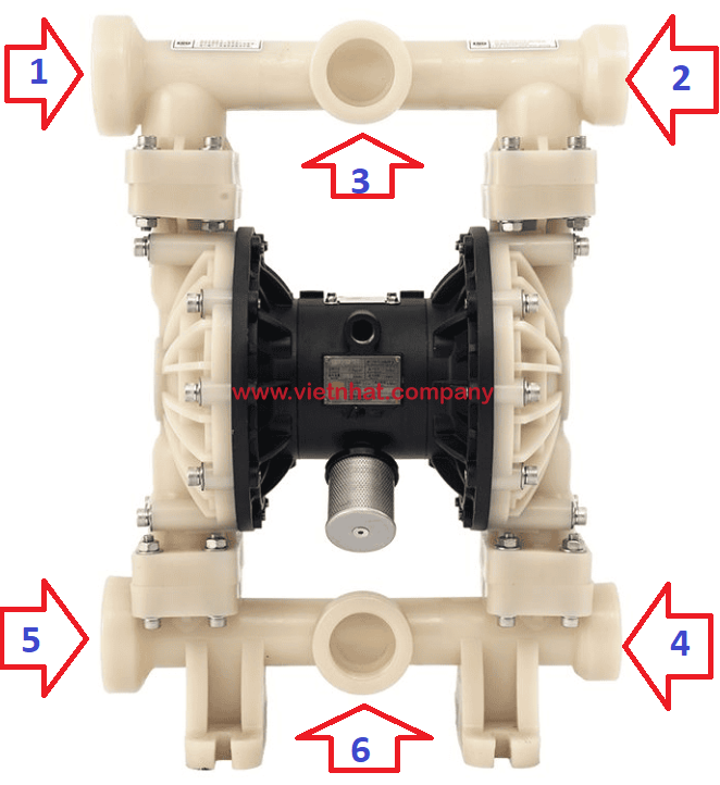 vị trí ống hút xả của bơm màng qby3-50stff vỏ nhựa