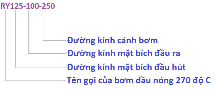 ý nghĩa các ký tự của đầu bơm dầu truyền nhiệt RY125-100-250